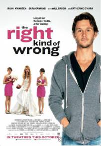 L'errore perfetto - The Right Kind of Wrong (2017)