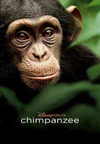 Chimpanzee (2012)