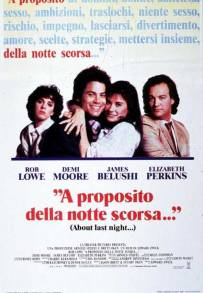 A proposito della notte scorsa (1986)