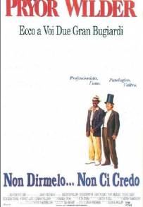 Non dirmelo non ci credo (1991)