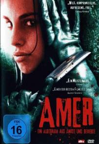 Amer (2009)