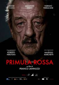 Primula Rossa (2019)