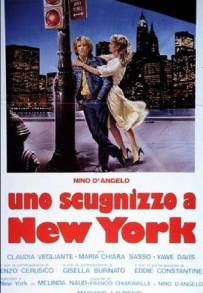 Uno scugnizzo a New York (1984)