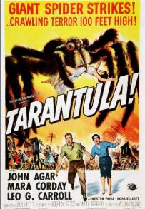 Tarantola (1955)