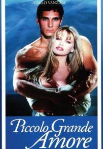 Piccolo grande amore (1993)