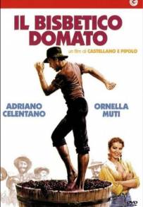 Il bisbetico domato (1980)