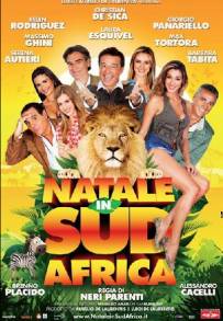 Natale in Sudafrica (2010)