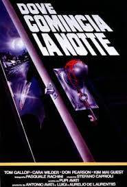 Dove comincia la notte (1991)