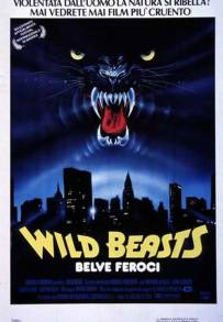 Wild Beasts - Belve feroci (1984)