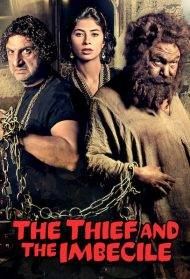 The Thief And The Imbecile (2013)