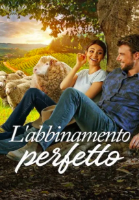 L'abbinamento perfetto (2022)