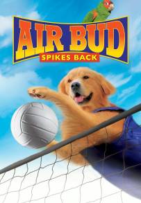 Air Bud 5 - Un amico dal tocco magico (2003)