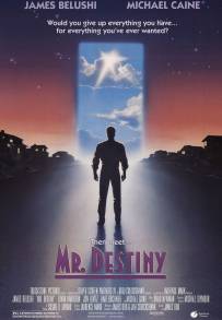 Mr. Destiny (1990)