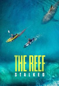 The Reef: intrappolate (2022)