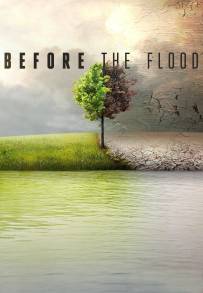 Punto di non ritorno - Before the Flood (2016)