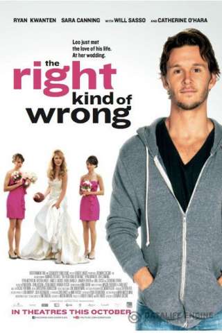 L'errore perfetto - The Right Kind of Wrong [HD] (2017)