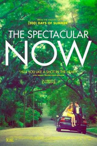 The Spectacular Now [HD] (2013)