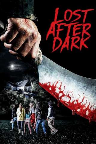 Lost After Dark [HD] (2014)