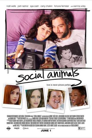 Social Animals [HD] (2018)