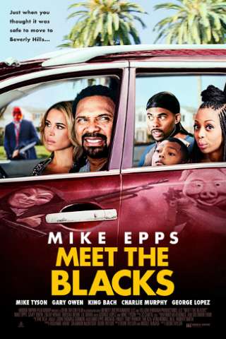 Meet the Blacks [HD] (2016)