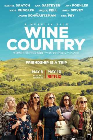 Wine Country [HD] (2019)