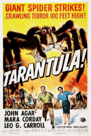 Tarantola [HD] (1955)