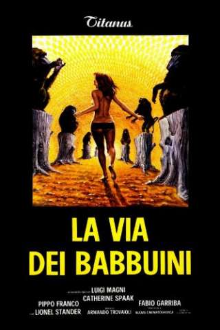 La via dei babbuini [HD] (1974)