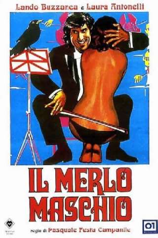 Il merlo maschio [HD] (1971)