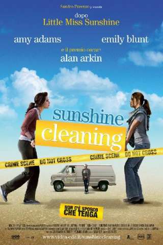 Sunshine Cleaning - Non ce sporco che tenga [HD] (2008)