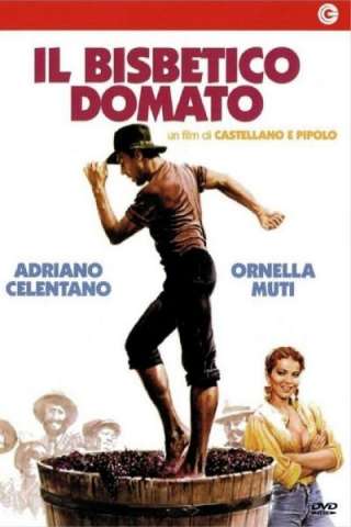 Il bisbetico domato [HD] (1980)