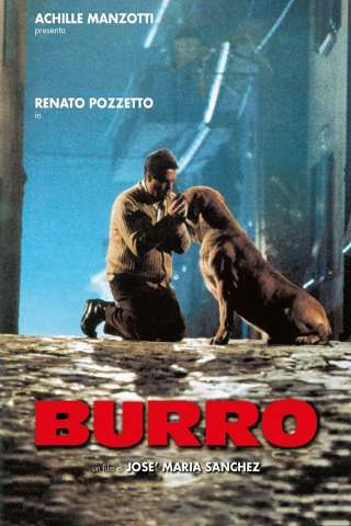 Burro [DVDrip] (1989)