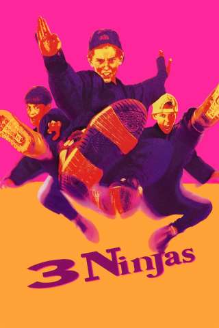 3 Ragazzi Ninja [DVDrip] (1992)