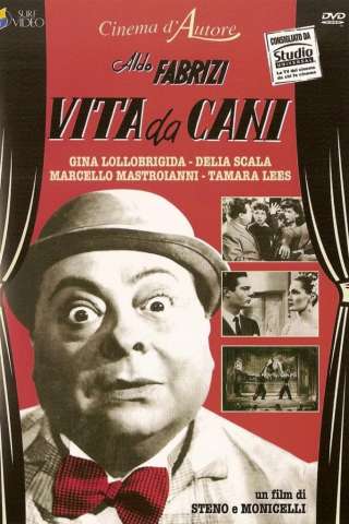 Vita da cani [DVDrip] (1950)