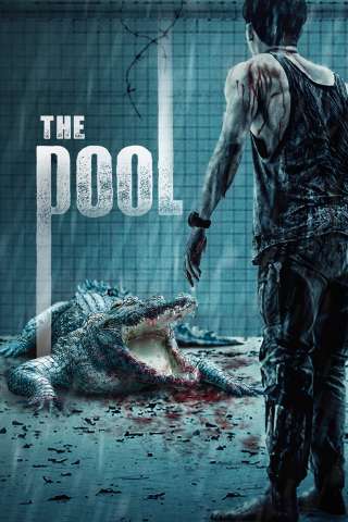 The Pool (2018) [HD] (2018)