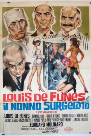 Louis de Funes e il nonno surgelato [HD] (1969)