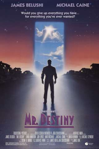 Mr. Destiny [HD] (1990)