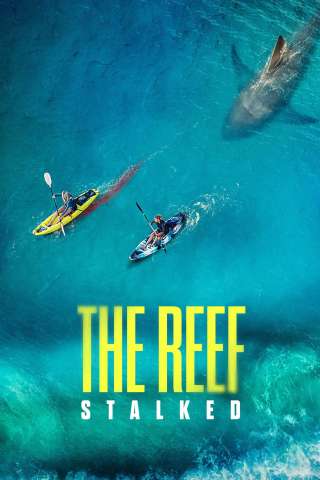 The Reef: intrappolate [HD] (2022)