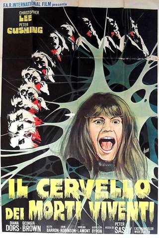 Il cervello dei morti viventi [HD] (1973)