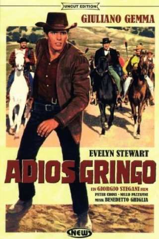 Adios Gringo [SD] (1965)