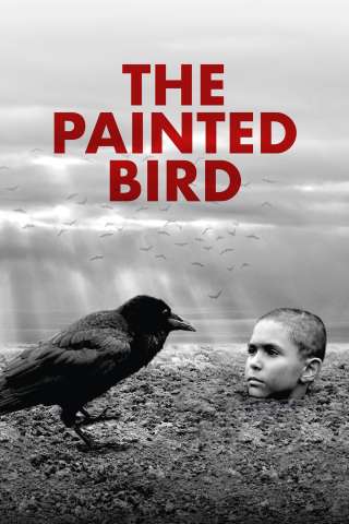 The Painted Bird - Nabarvené ptáče [HD] (2019)
